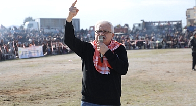 Burhaniye'de Zeytin Hasat Festivali Ve Deve Güreşleri Başlıyor