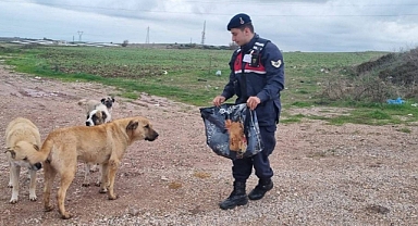 Can Dostlar Unutulmuyor