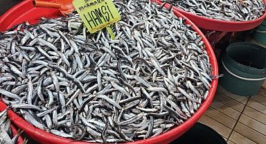 Fırtına Balık Fiyatlarını Yükseltti