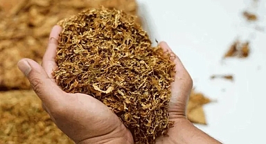 Kaçak Tütün Operasyonunda Neler Çıktı Neler !