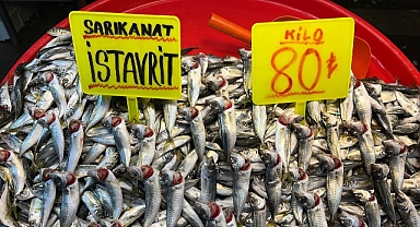 Marmara'da hava bozdu, balık fiyatları fırladı
