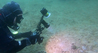 Marmara'da Yeni Müsilaj Savaşçıları Görüldü