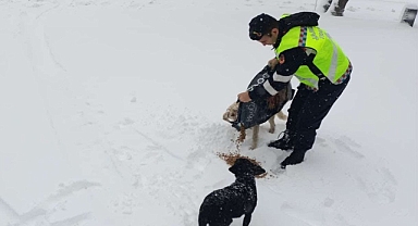 Soğuk Havada Can Dostlar Unutulmadı