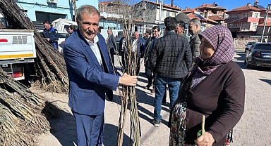 Bigadiç Yeşilleniyor