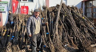 Büyükşehir Belediyesi İvrindi'de Ceviz ve Badem Fidanı Dağıtımı Gerçekleştirdi
