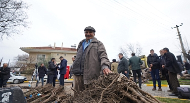 Büyükşehir'den Üreticiye 150 Bin Fidan Desteği