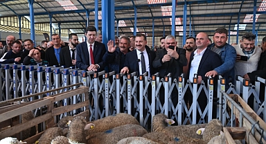 Büyükşehir, Savaştepe’de 550 Küçükbaş Dağıttı