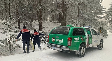 Can Dostlara Beslenme Desteği