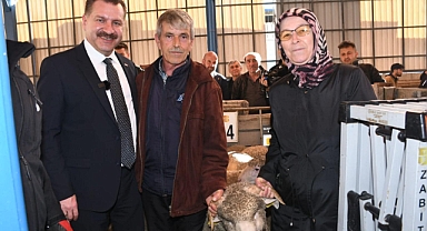 Damızlık Hayvan Dağıtım Töreni Gerçekleşti