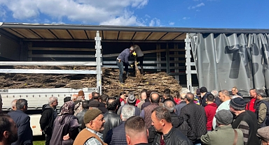 Havran'da Ceviz ve Badem Fidanı Dağıtımı Gerçekleşti
