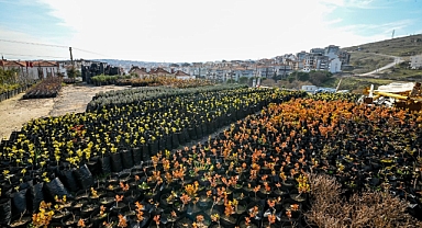 Karesi Çiçek Açacak