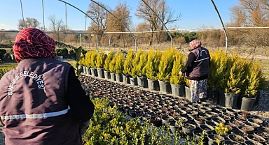 Sındırgı Yüreğil Mahallesi'nde Refüj ve Yeşil Alanlar Estetik Bir Görünüme Kavuşuyor