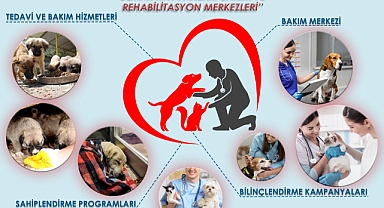 Altıeylül’e Sokak Hayvanları Bakım ve Rehabilitasyon Merkezi Kurulacak