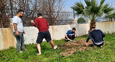Burhaniye'deki Yurt Öğrencileri Çevre Temizliği Yaptı