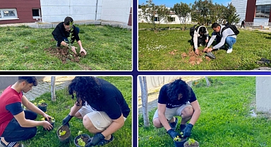 Dursunbey ve Yarbay Vecihibey Yurtlarından Anlamlı Orman Haftası Etkinliği