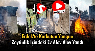 Erdek'te Korkutan Yangın: Zeytinlik İçindeki Ev Alev Alev Yandı