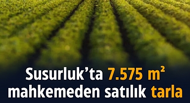 Susurluk’ta 7.575 M² Mahkemeden Satılık Tarla