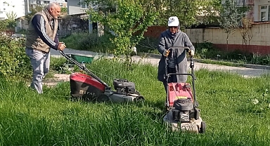 Altıeylül'de Park ve Bahçeler Müdürlüğü Çalışmaları Devam Ediyor