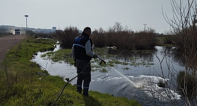 Ayvalık'ta Haşere ve Sivrisinekle Mücadele Programı Devam Ediyor