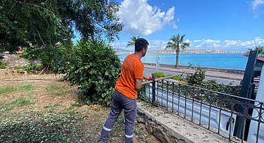 Ayvalık, Yaz Sezonuna Hazırlanıyor: Temizlik ve Peyzaj Çalışmaları Hız Kesmiyor