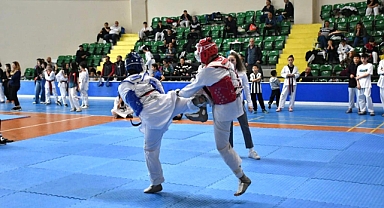 Balıkesir'de Taekwondo Çocuk Bayramı Şampiyonası Yoğun Katılımla Gerçekleşti