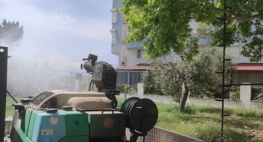 Edremit Belediyesi Uçkunla Mücadelede Çalışmalarını Sürdürüyor