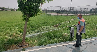 Bandırma Belediyesi Sağlık İşleri Müdürlüğü'nden İlaçlama Çalışmaları