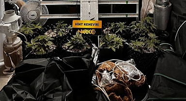 Ayvalık'ta Dev Uyuşturucu Operasyonu!