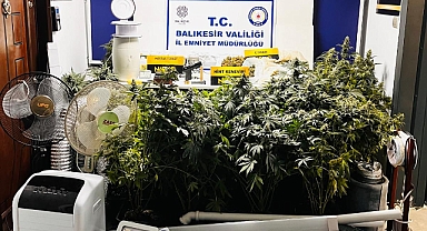 Ayvalık'ta Uyuşturucu Operasyonu: Yüklü Miktarda Uyuşturucu Madde Ele Geçirildi