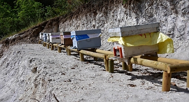 Balıkesir'de Esenli Bal Ormanı Hizmet Veriyor