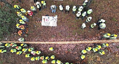 Balıkesir Orman Bölge Müdürlüğü'nden Orman Ürünleri Denetimi