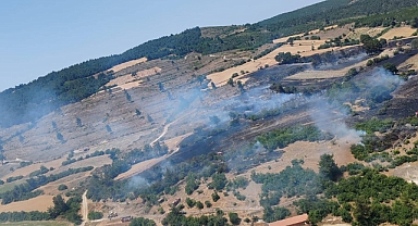 Bigadiç'te Çıkan Yangın Ormana Sıçramadan Kontrol Altına Alındı