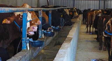 Burhaniye Belediyesi Kurban Kesim Yerlerini Açıkladı