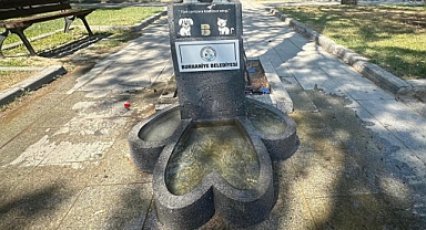 Burhaniye Belediyesi Sokak Hayvanları İçin Özel Bakımı Sağlıyor