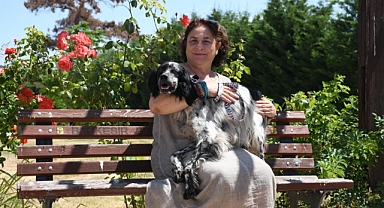 Cesur, Büyükşehir’in Şefkatli Ellerinde İyileşti