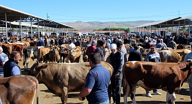 Kurban Bayramı Boyunca Bandırma'dan Hayvan Pazarına Ücretsiz Ulaşım İmkanı