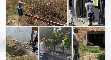 Susurluk’ta İlaçlama Çalışmaları Devam Ediyor