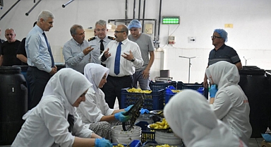 Vali İsmail Ustaoğlu, Bigadiç'te Tarım İşletmesini Ziyaret Etti