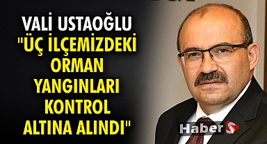 Vali Ustaoğlu: 