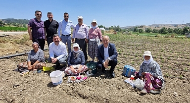 Vekil Yüksel'den Tarlada Çalışan Kadın Çiftçilere Ziyaret