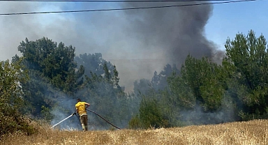 Altıeylül'deki Yangın Kontrol Altına Alındı