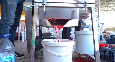 Ayvalık’ta Salça Sezonu Başladı: Ücretsiz Salça Makinesi Mahallelerde