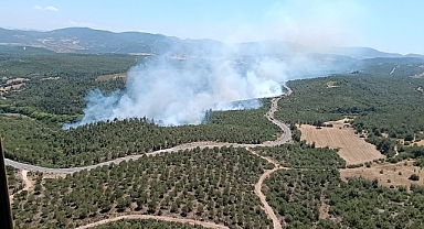 Balıkesir'de Orman Yangını Kontrol Altına Alındı