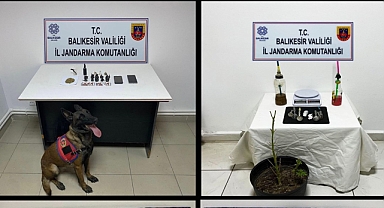 Balıkesir Jandarmasından Kaçakçılık ve Uyuşturucu Operasyonu