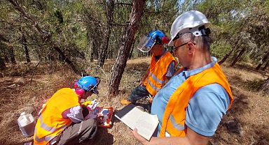 Balıkesir Orman Bölge Müdürlüğü, 2024 FSC Denetimlerinden Başarıyla Geçti