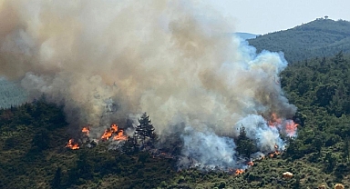 Balıkesir Orman Bölge Müdürlüğü’nden Yangınla İlgili Açıklama