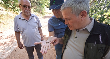 Balıkesir Orman Bölge Müdürlüğü, Orman Zararlılarıyla Mücadele Daire Başkanı Sabri Kızılkaya’yı Ağırladı