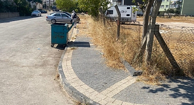 Bandırma'da Ot Biçme Çalışmaları Devam Ediyor