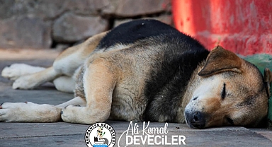 Burhaniye Belediye Başkanı Ali Kemal Deveciler'den 