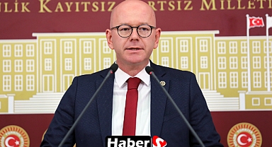 CHP'li Serkan Sarı'dan Hayvanları Koruma Kanunu'na Sert Tepki